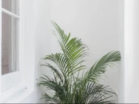 Apartment LoveBarcelona 