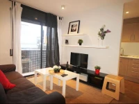 Barcelona Downtown Apartments 