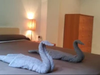 MotorSport Bed & Breakfast 