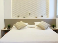 Residencia Universitaria Torre Girona 