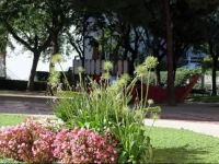 Villa OlГ­mpica 