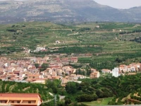 Hotel Roig 
