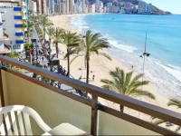 Don Cesar 