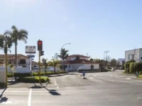 Palms Motel 