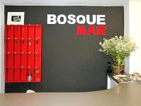 Hotel Bosquemar 1*