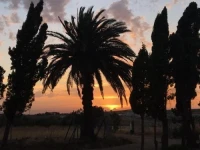 El Mirador del Abuelo 