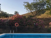 La Albergueria 