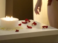 Hotel Spa Balfagon 