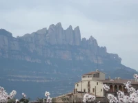 Mas del Puig 