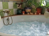 Rustic Suites 