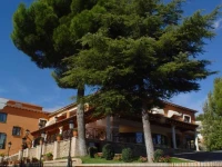 Hotel Nuevo ChinchГіn 