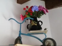 Apartamentos Casa Mata 
