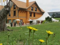 Aisia Derio Hotel Museo Spa 