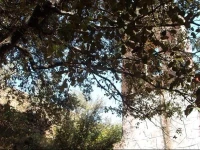 Las Casitas Del Bodegon 