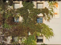 Apartamentos Candy 