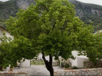 Casa Rural El Vihuelo 