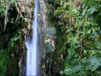 El Antiguo Molino 