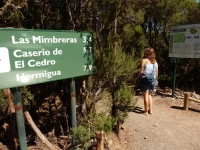 Casa Abuelo Pepe 