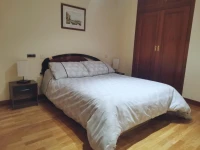 Apartment Estriva 