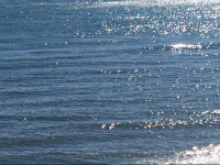 Bahia de la Plata