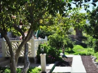 Finca TomГЎs y Puri 