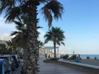 Apartamento Carvajal Fuengirola 