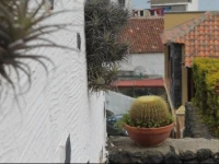 Finca El Cantero 
