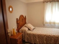 Apartamento Rio Guadalfeo 