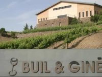 Hotel-Celler Buil & Gine 