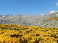 asas Rurales Cimera y Brincalobitos 