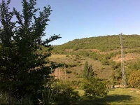 Apartamentos Rurales Esencias De La Alcarria 