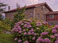 Txerturi-Goikoa 