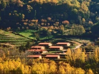 Apartamentos Rurales La Vega del Jerte 