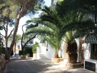 Fowlers Hotel 