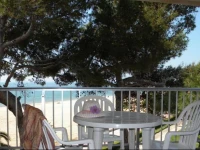 Apartamentos DMS V Arysal 