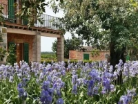 Casa Rural Son Bernadinet 