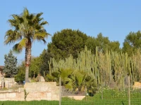 Agroturisme Son Llado 
