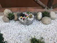 La Guarida del Oso 