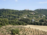 Predi Hotel Son Jaumell 