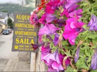 Apartamentos Saila 2*