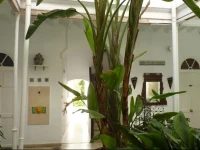 Apartamentos Casa Rosaleda 