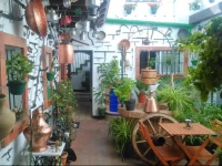 Apartamentos Jerez Centro 