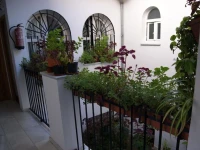 Hostal Alcazar I 