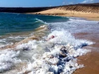 Rio Playa Holiday 
