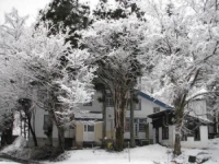 Jimmys House 