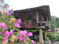 El ColladГ­n 