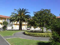 Apartamentos San Pedro 