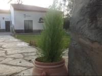 Albergue de los Molinos 