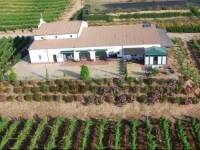 Casa de Vacaciones Bodegas Morosanto 