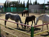 Casa Rural La Noria 